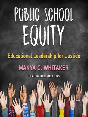 cover image of Public School Equity